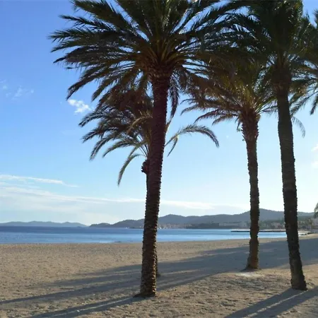 Renove Avec Terrasse, Apercu Et Parking Privatif Au Lavandou, 3 Couchages - Fr-1-251-303